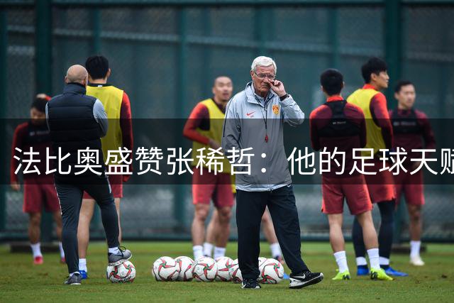 法比奥盛赞张稀哲：他的足球天赋远超中超水平