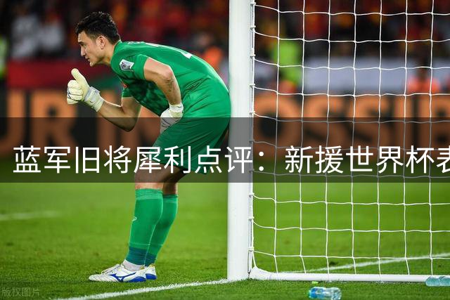 蓝军旧将犀利点评：新援世界杯表现堪忧 恩佐去留引热议