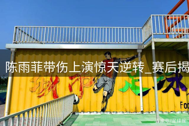 陈雨菲带伤上演惊天逆转 赛后揭秘三天火线复出内幕